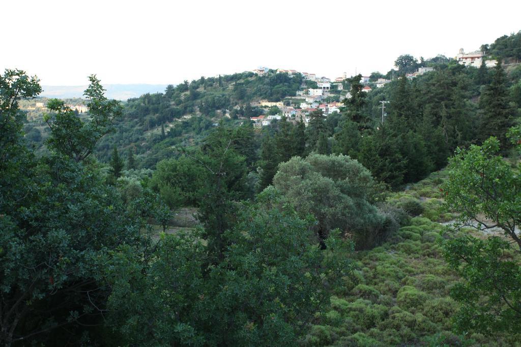 Villa Athina Argiroupolis Bilik gambar
